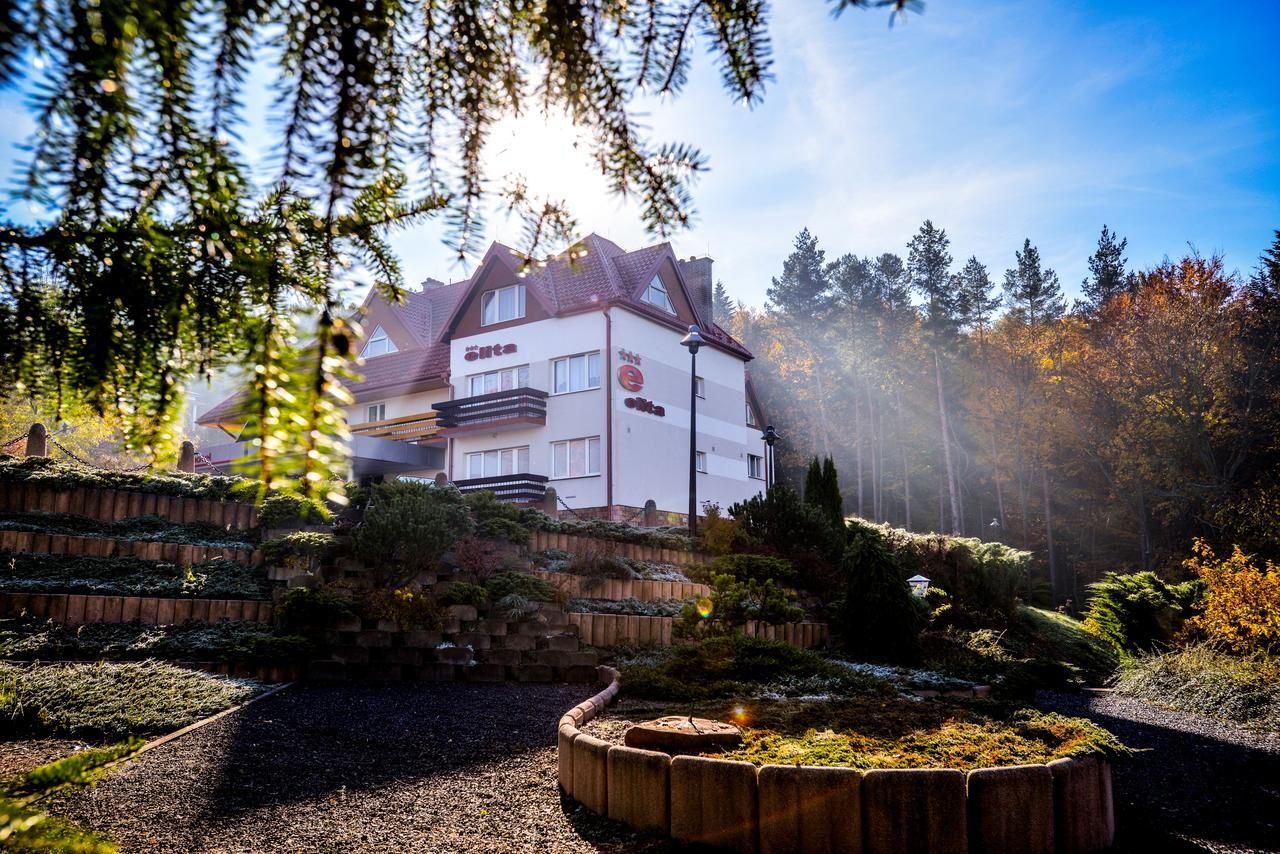 Отель Elita Hotel & Restauracja Ивонич-Здруй